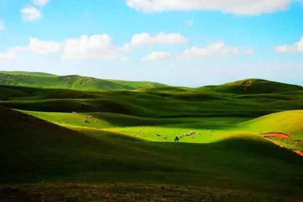 新疆拜城县最新消息今天,拜城最新真实消息