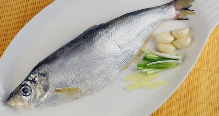 有什么样鳞片的鱼不能吃,这六种鱼千万不要吃