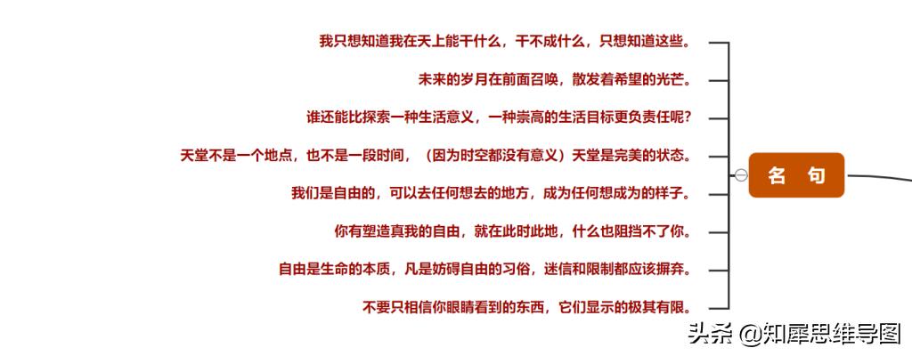 思维导图海洋世界简单漂亮画法,匆匆思维导图怎么画又漂亮又简单