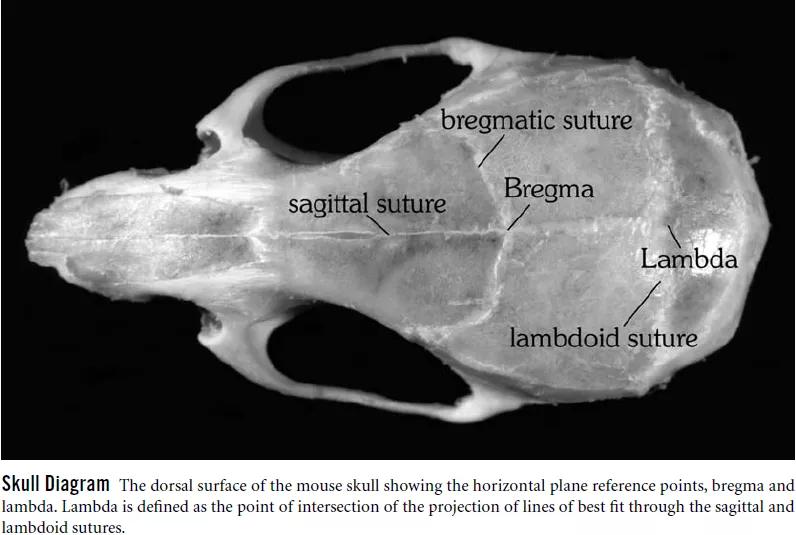 手把手教你工具病毒的注射方法（上）