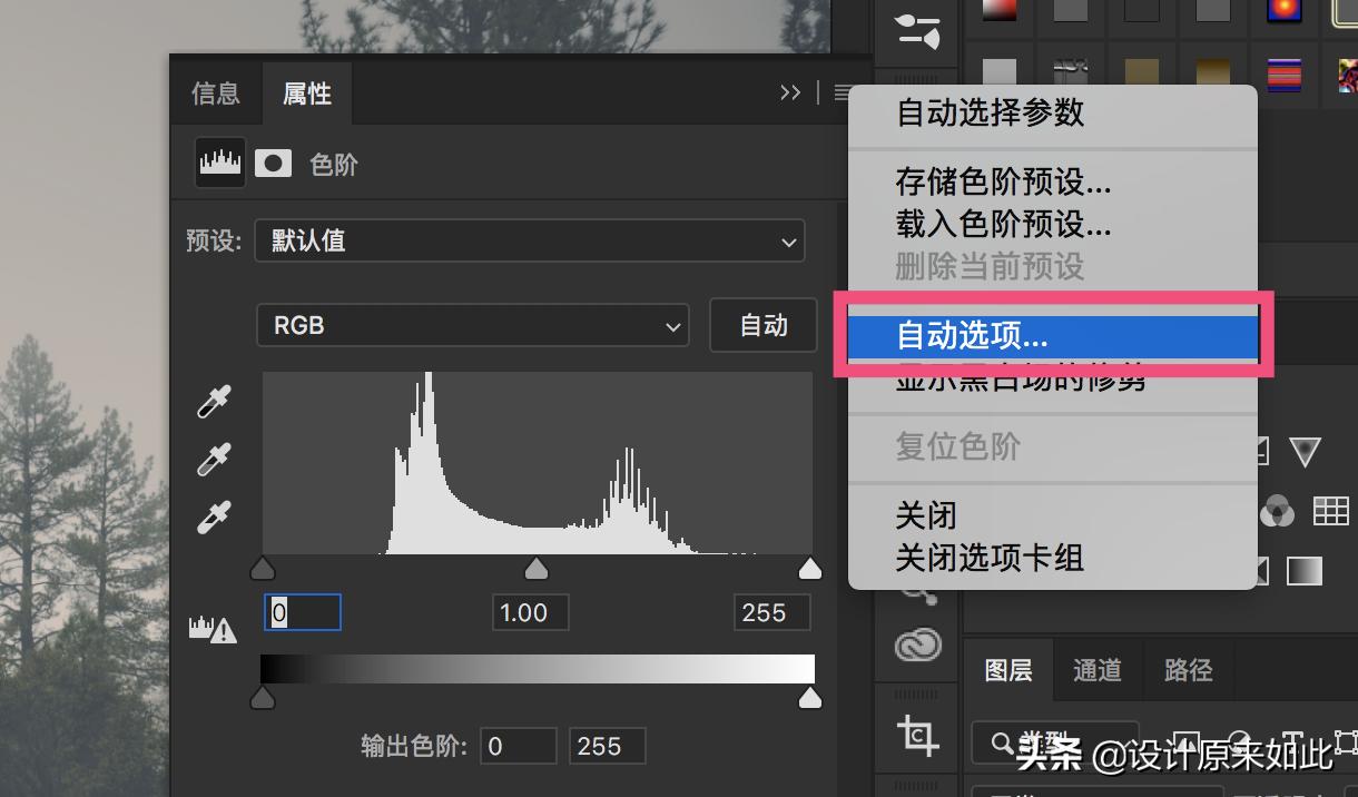 ps可选颜色与色阶调色的区别,ps怎么调色照片背景颜色