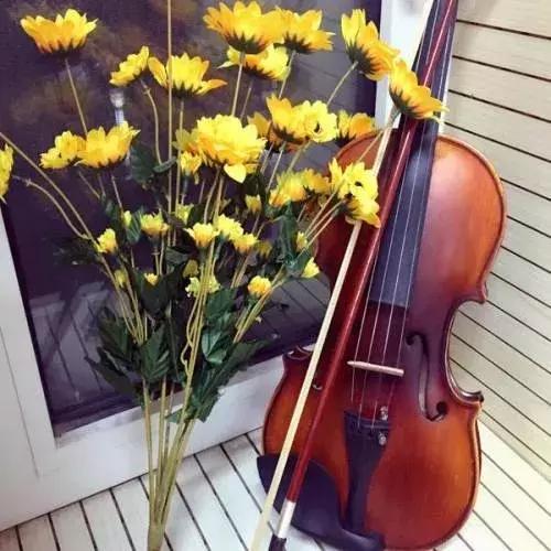 初学者学小提琴的真实现状,小提琴知识普及