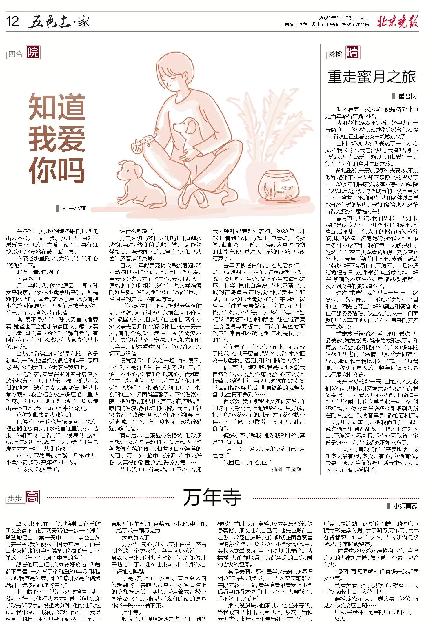 养了十来年的巴西龟死了,巴西龟假性死亡