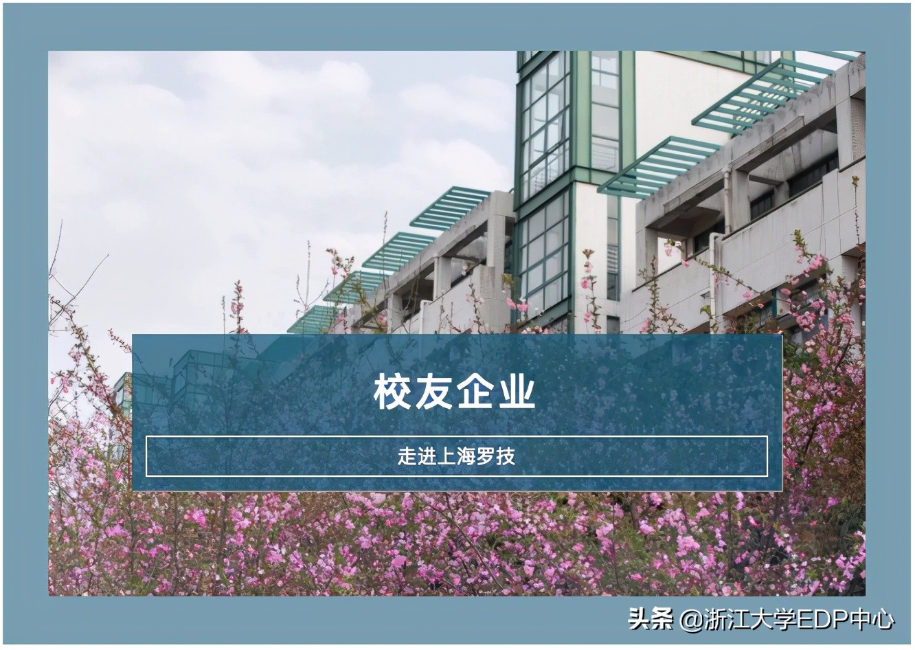 在实践中领悟真谛的例子,在实践中体验经历与成长