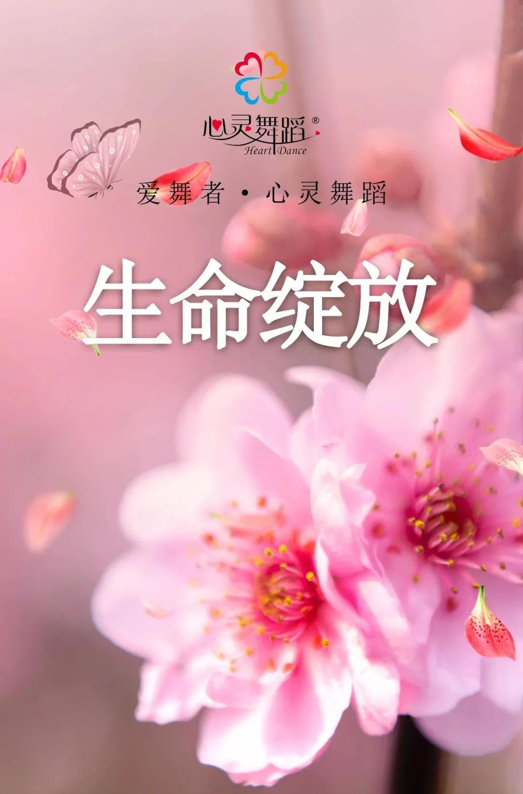 心灵舞蹈完整教学,心灵律动舞蹈