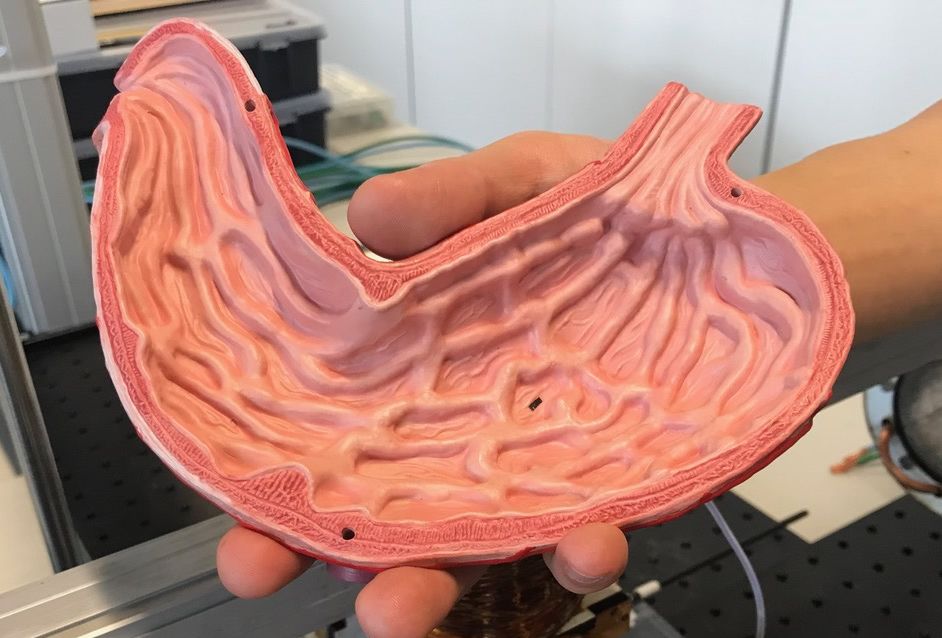 最容易被忽视的5种健康生活方式,最容易被忽视的健康生活方式