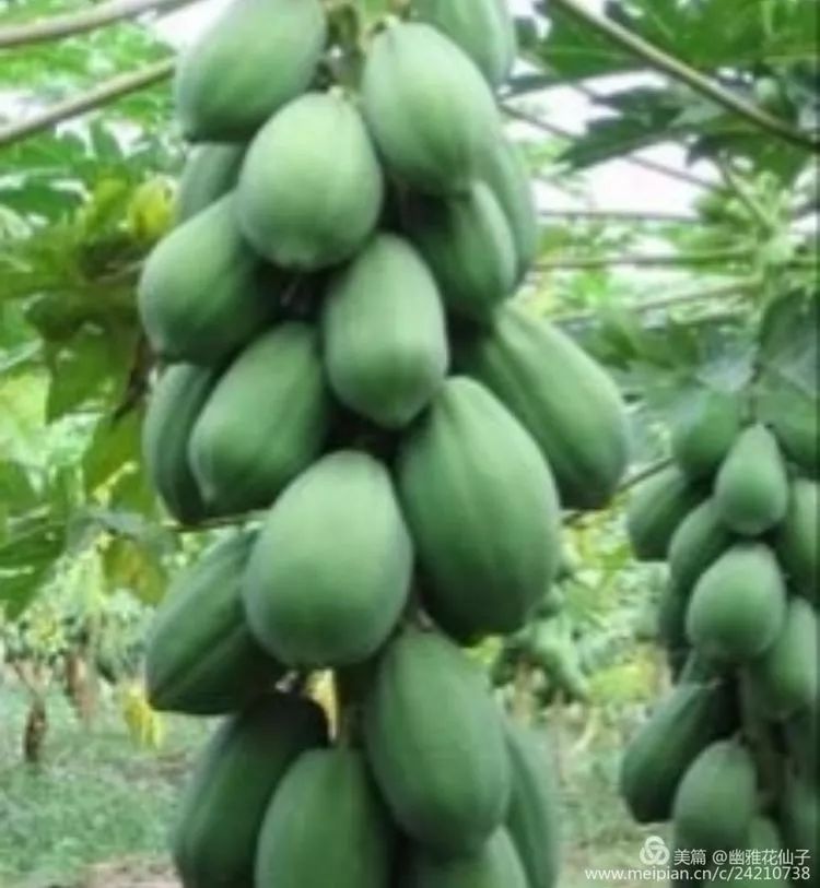 福建长汀最好玩的地方在哪里,福建长汀最好玩的地方在哪里呀