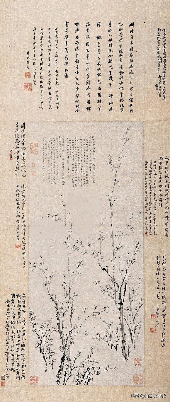 影梅庵忆语讲的什么,影梅庵忆语全文