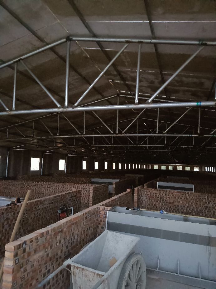 母猪发情有什么表现？如何判断母猪是否发情？