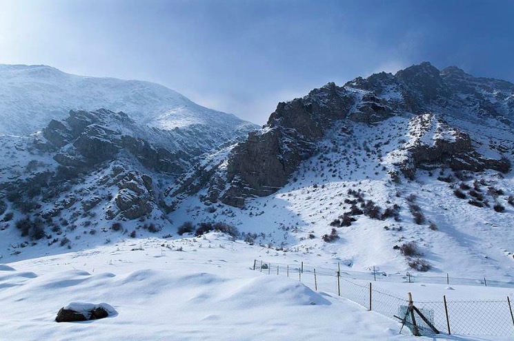 李白写的边塞诗有哪些,李白的边塞诗从军行阅读题