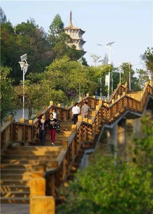 惠邑景致——科山公园