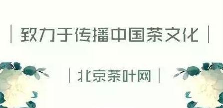 茶知识茶叶成分具有抗过敏功效,哪种茶叶抗过敏效果最好