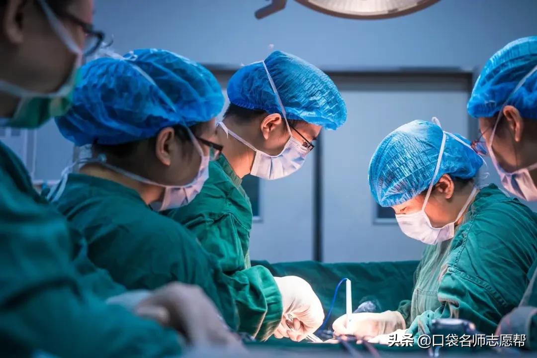 三线城市就业前景好的专业,34线城市工作什么专业好