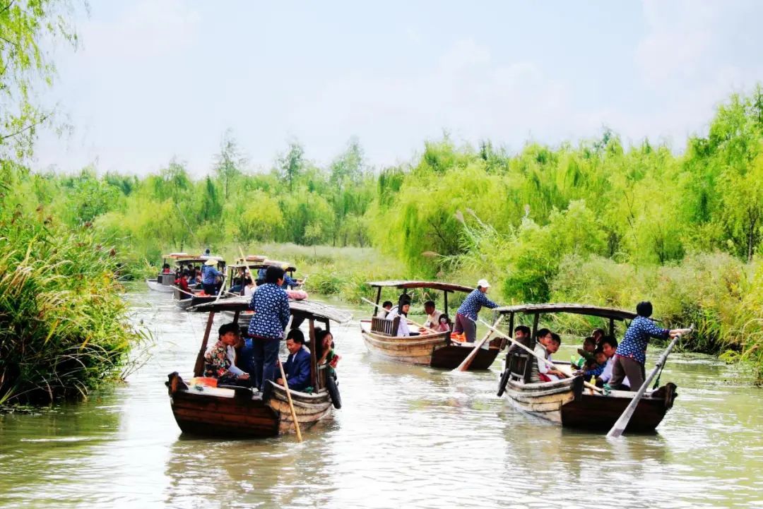 浓情端午|泰州三日游线路送上,水韵休闲风走起