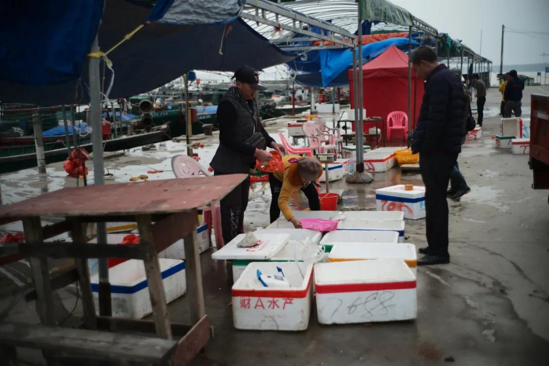 在海南岛最霸气的渔港码头,海南十大渔港码头