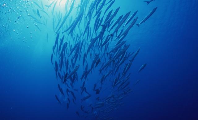 心理测试测什么会有财运,测试你的性格最像什么颜色