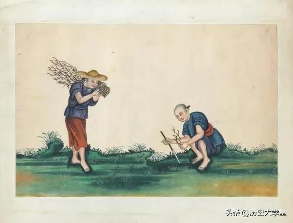 清朝白银流出,1900后大清茶叶换白银