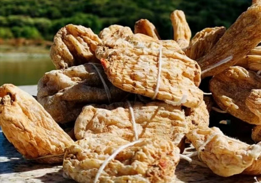 中国最好的野生天麻产地,西藏波密县哪家天麻基地最大