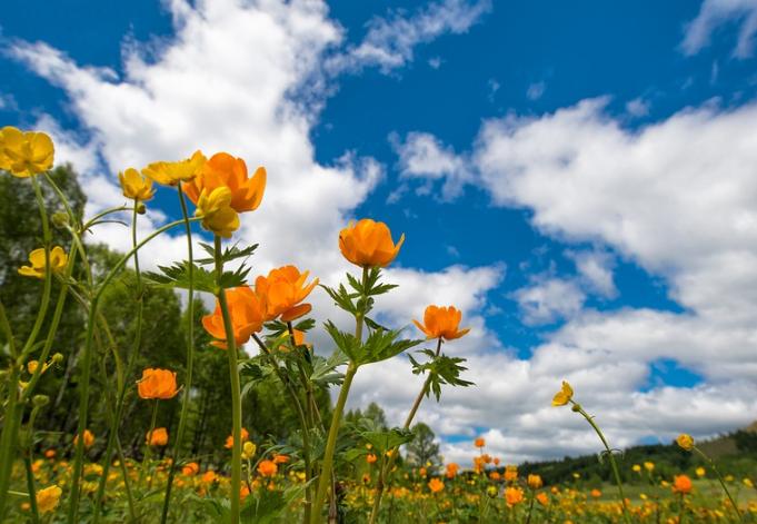 农业农村部最新农情调查显示,农情快报最新视频