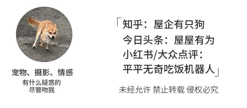 女朋友想养猫该怎么办,女朋友想养猫怎么办