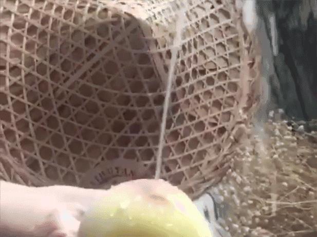 正宗阳山水蜜桃有哪几种,阳山水蜜桃辨别