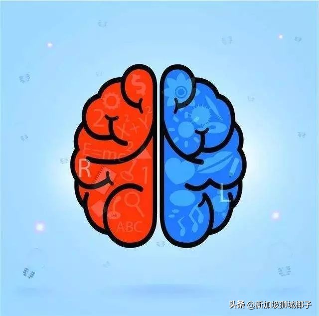 新加坡顶级早教班,新加坡早教英语视频实拍