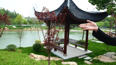 浙师校庆节,浙师百年校庆