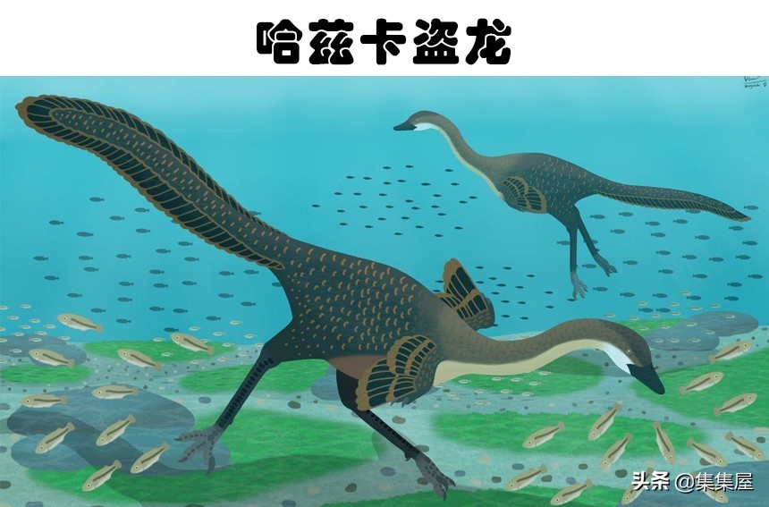 最有特点的十种恐龙介绍,世界上目前发现的最强的恐龙