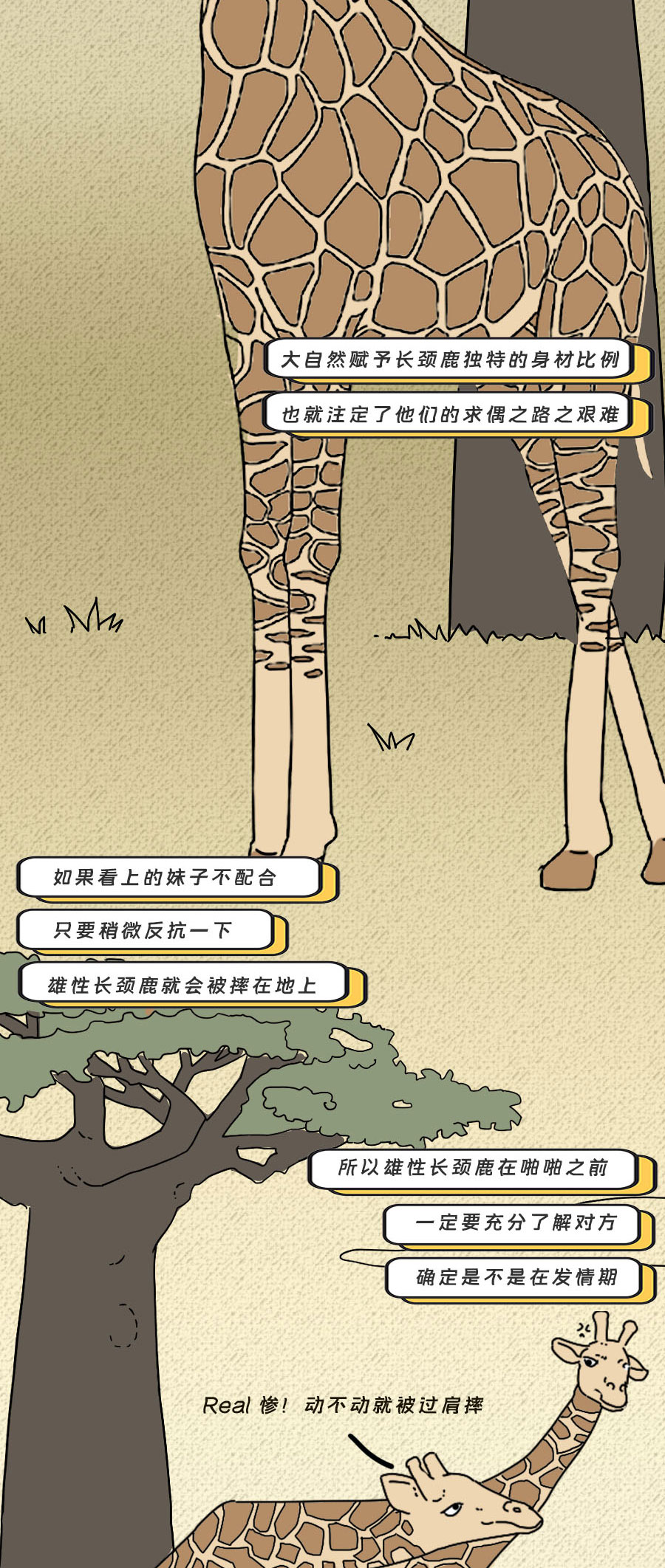 论啪啪啪，人类可比不上它们……