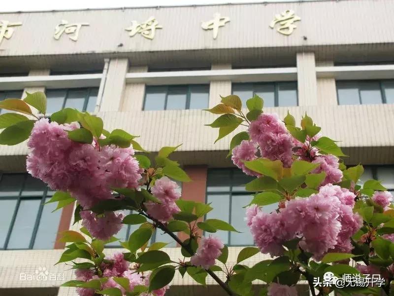 无锡江溪初中中考升学率,无锡初中2022中考总分