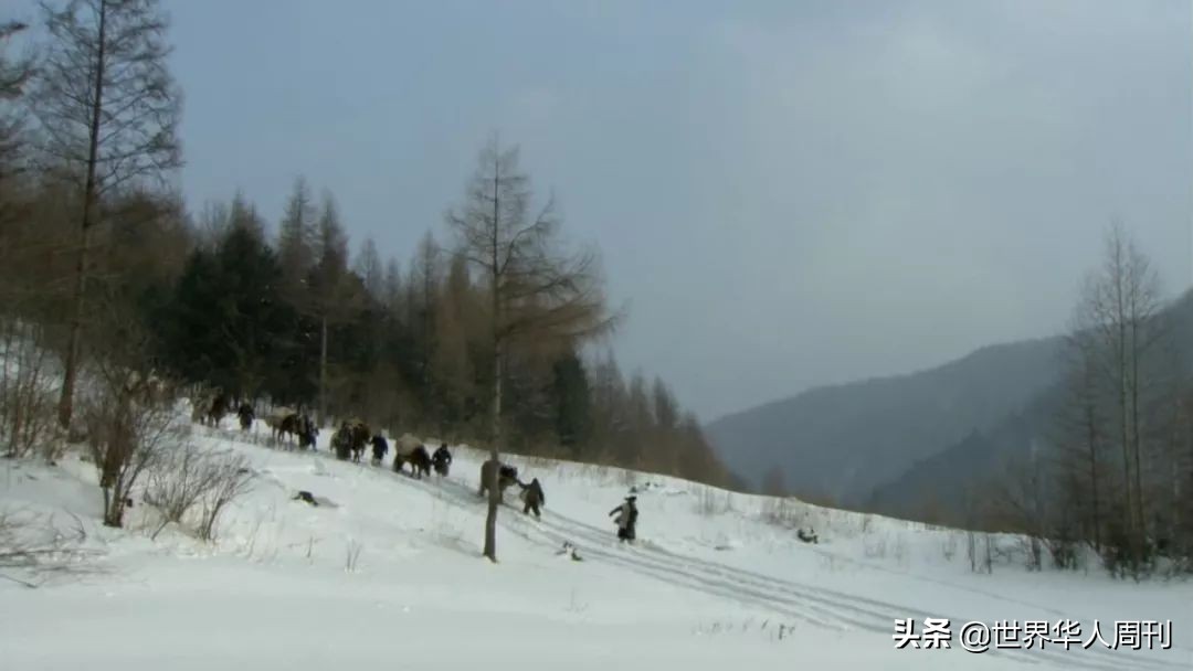 带着“战斗民族”的基因，他们一代代地变成了真正的东北人