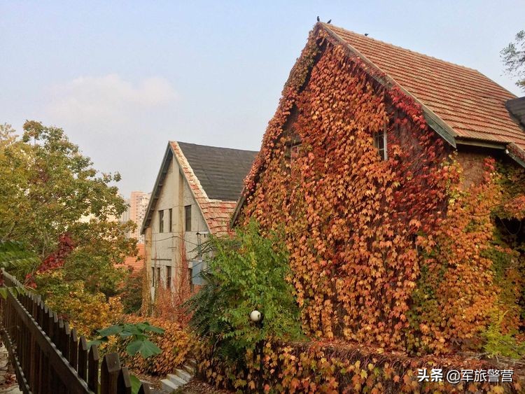 大连八七疗养院战友,大连市八七疗养院的故事