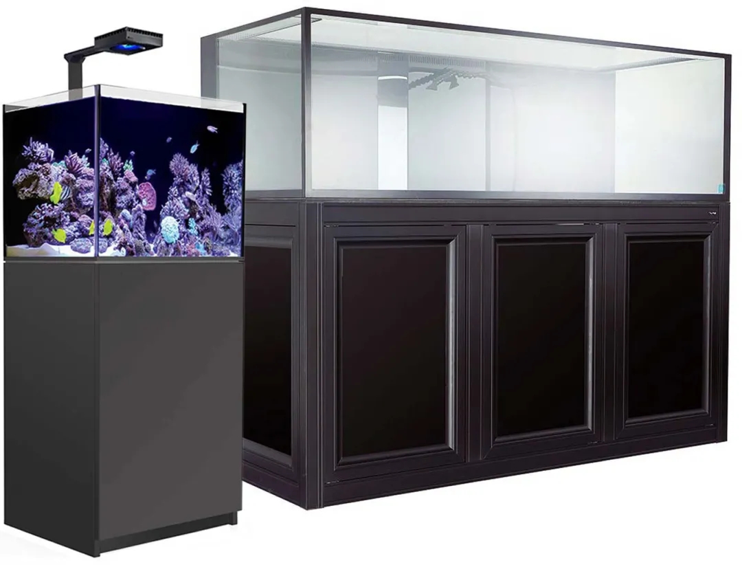 你真的已经准备好换一个更大的爱缸了吗？