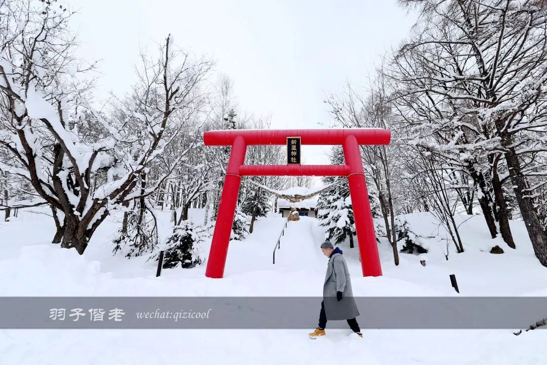 不会日语日本自由行好吗,不会日语的北海道自由行攻略
