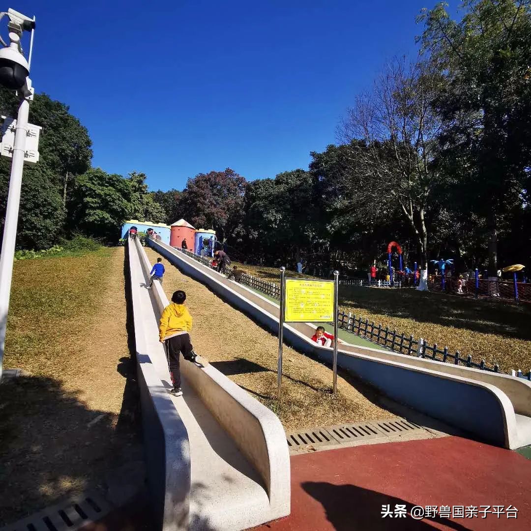 广州遛娃出游,广州遛娃3-4天攻略