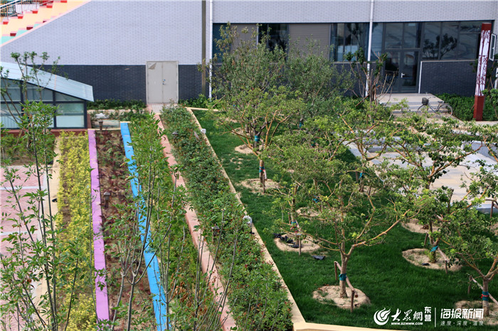 全面服务解决家长后顾之忧东营华山小学立志打造优质服务型校园