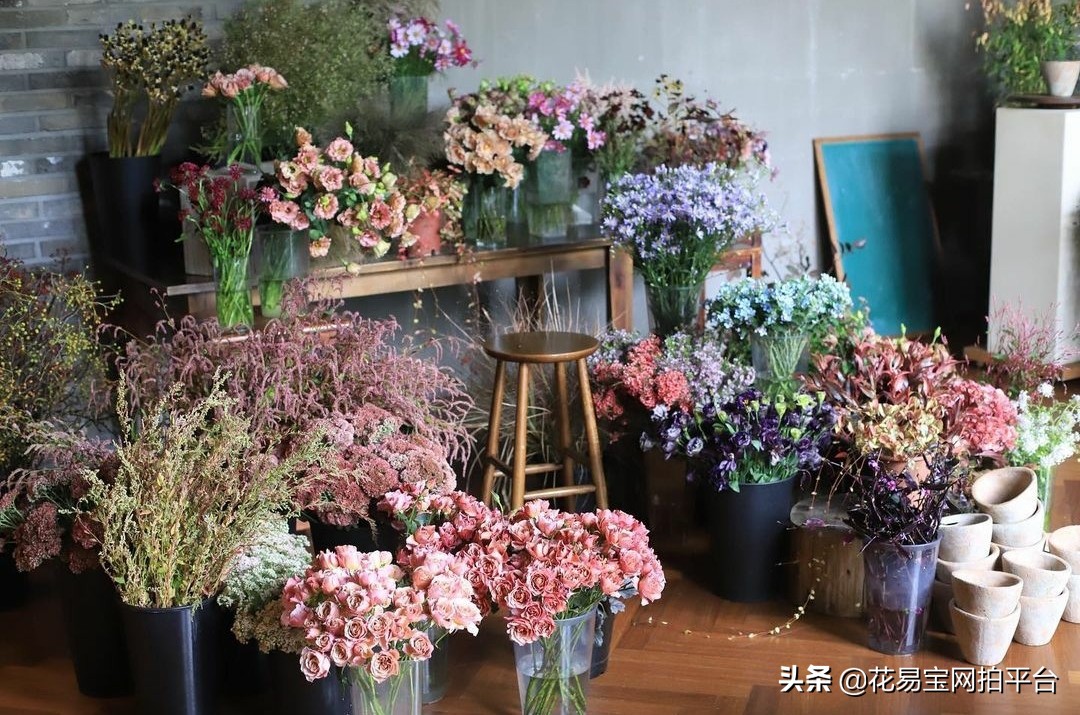 花店如何建立供应链,开花店需要了解的花知识