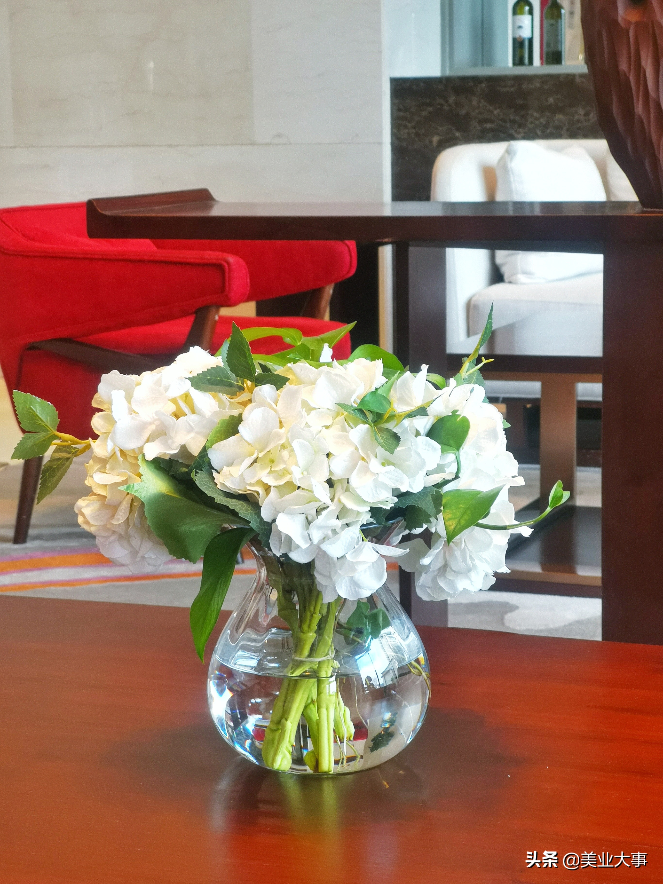 全棉时代首席体验官,全棉时代体验