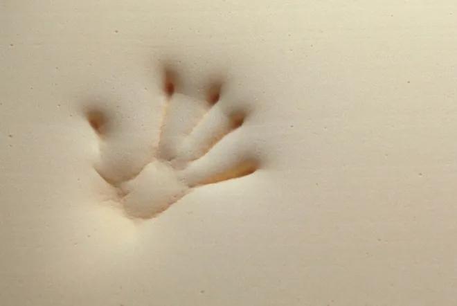 一篇文章教你学会如何快速阅读,榻榻米电加热床垫怎么选