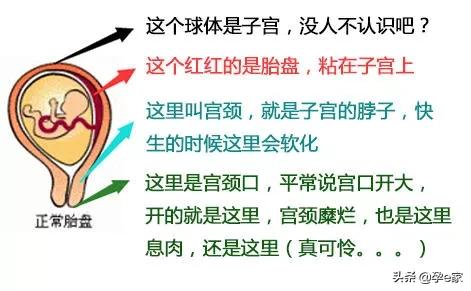 孕早期出血补黄体酮仍然出血,孕早期出血后打什么针保胎