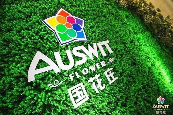 宝马、福特免费送?目前国花庄进口葡萄酒市场已送出14台福特全顺