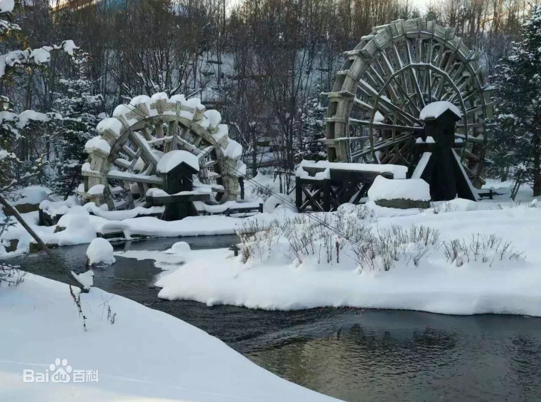 春节来一次冰雪之旅，“鼠”你最走运！
