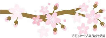 广西哪些城市是靠一碗粉火起来的,凭一碗螺蛳粉征服世界