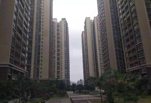 越来越多人养宠物原因,为何越来越多的人养宠物