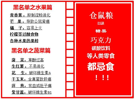 这才是撸猫正确的方式,撸猫不如撸狗