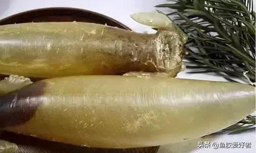 花胶涨发的正确方法,花胶的种类及区别