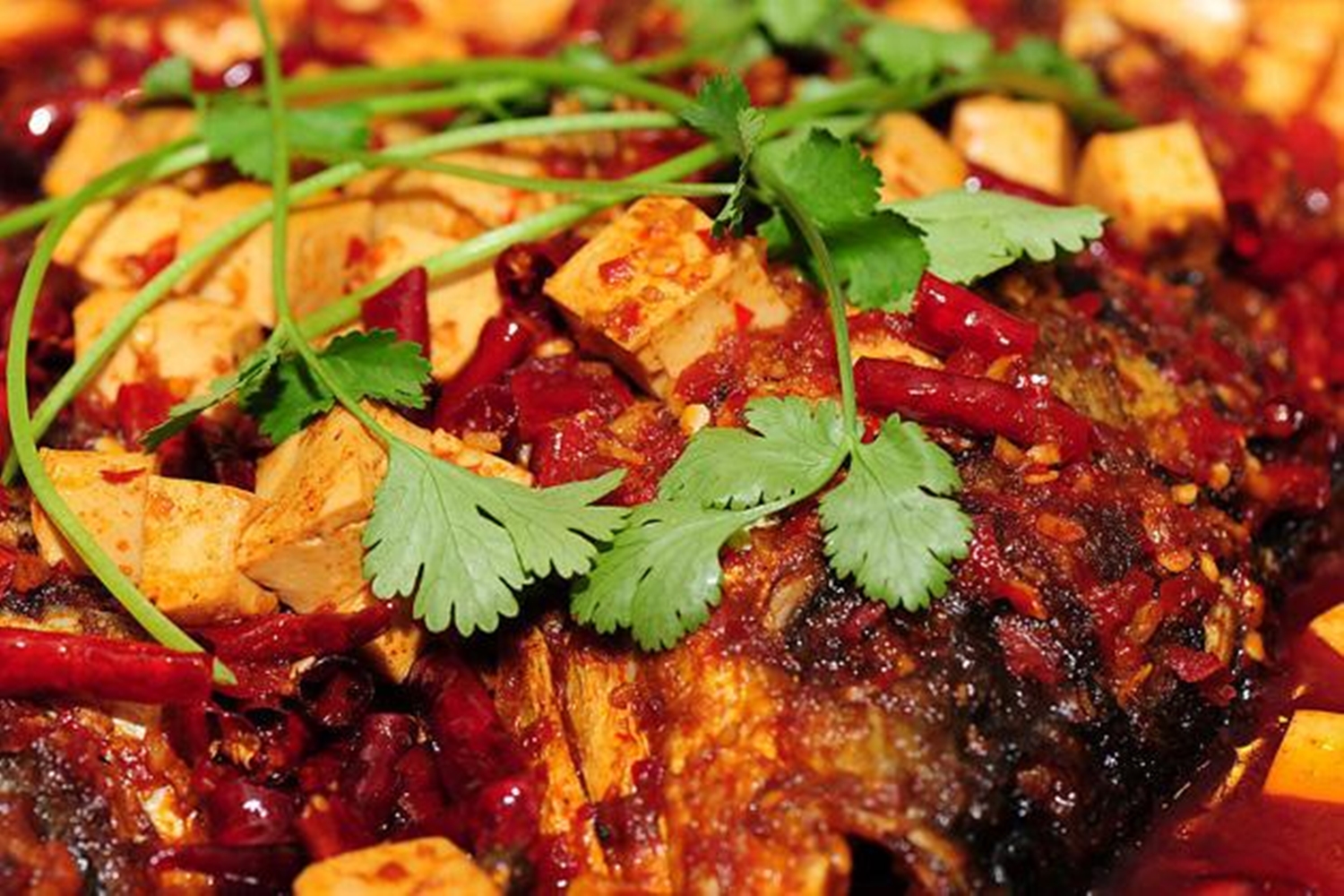 东坡墨鱼的正确吃法,四川地区传统名菜东坡墨鱼