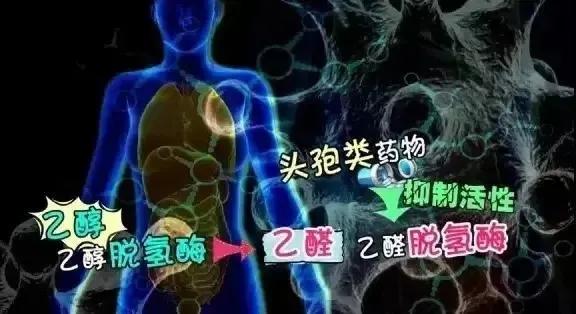 今日大暑|中暑了就喝藿香正气水?还真不一定