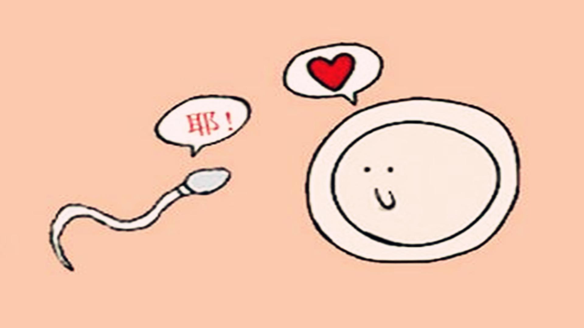 怀孕10天最明显的征兆会想吐吗,怀孕10天的孕妇一般都有哪些反应