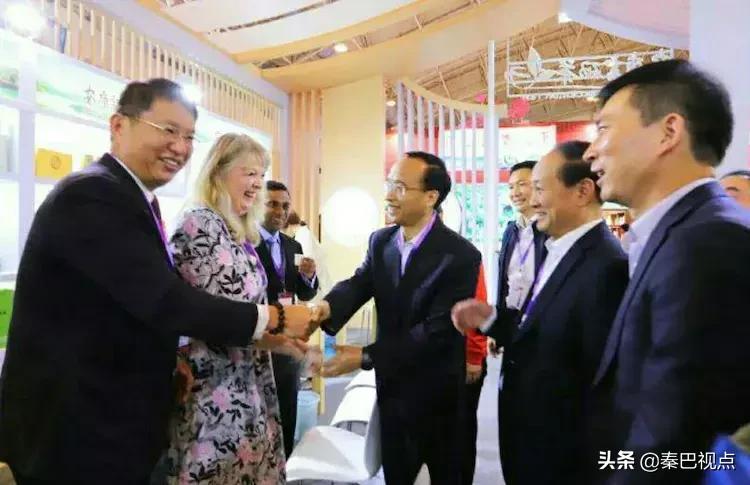 秦汉古茶价格,秦汉古茶图片